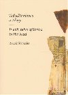 Teď ještě hlavou o střepy / It only takes splinters in the head - Radek Glabazňa