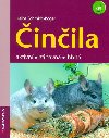 Činčila - Heike Röger-Schmidt