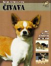ivava - J.Barbara Andrewsov