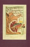 The Jena Codex - 