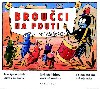 Brouci na pouti - Hana Vrbov