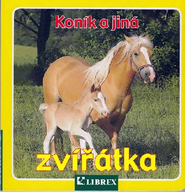 Konk a jin zvtka - 