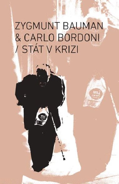Stát v krizi - Zygmunt Bauman,Carlo Bordoni
