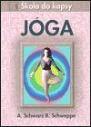 Jga - kola do kapsy - Aljoscha A. Schwarz,Ronald P. Schweppe