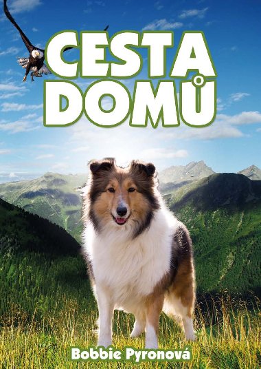 Cesta dom - Bobbie Pyronov