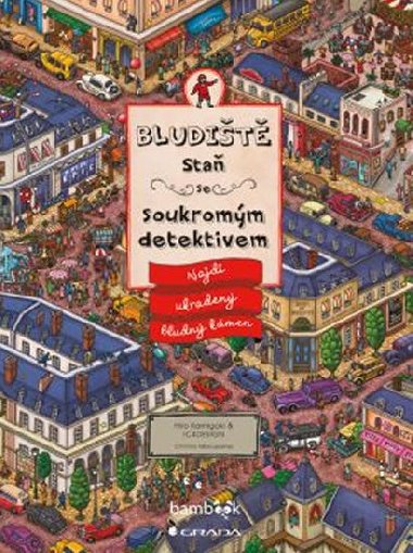 Bludit Sta se soukromm detektivem - Najdi ukraden bludn kmen - Hiro Kamigaki