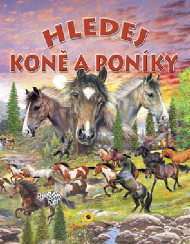 Hledej kon a ponky - 