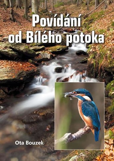 Povdn od Blho potoka - Ota Bouzek