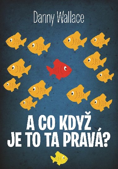 A co kdy je to ta prav? - Danny Wallace