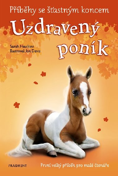 Uzdraven ponk - Pbhy se astnm koncem - Sarah Hawkins