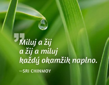 Magnet na lednici Miluj a ij... - Sri Chinmoy