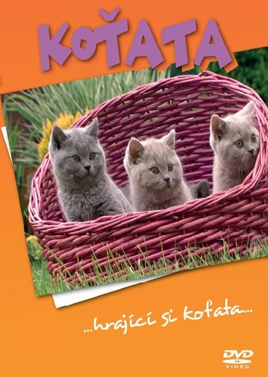 Koata - DVD - Popron music