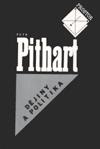 Djiny a politika - Petr Pithart