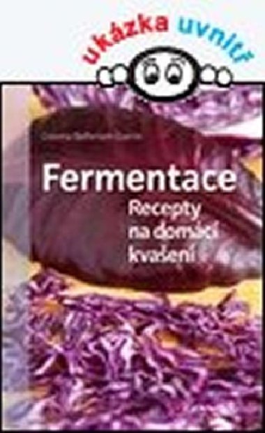 Fermentace - Recepty na domc kvaen - Cosima Bellersen Quirini