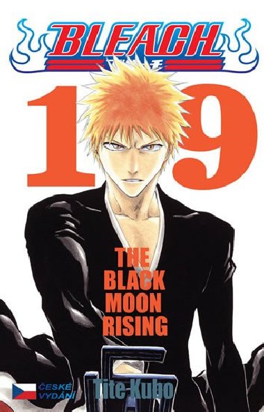 Bleach 19 - Tite Kubo