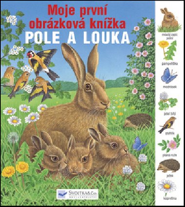 Pole a louka moje prvn obrzkov knka - 
