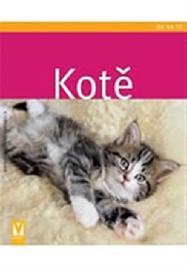 Kot - Brigite Eilert-Overbeck