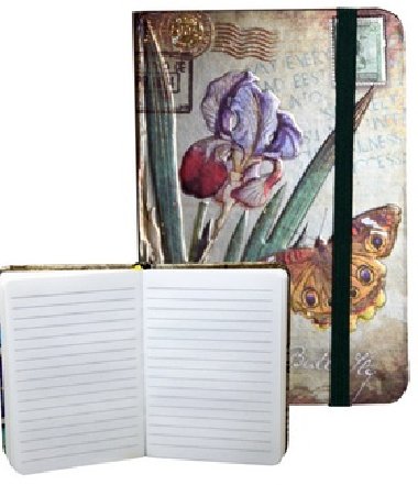 Zápisník s gumičkou 95x140 mm motýli na kosatci A - Ivana Kohoutová