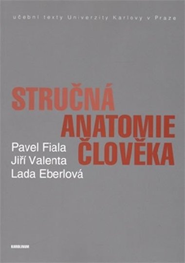Stručná anatomie člověka - Pavel Fiala,Jiří Valenta,Lada Eberlová