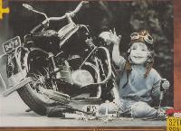 Puzzle spiel spass 1000 kim anderson - 