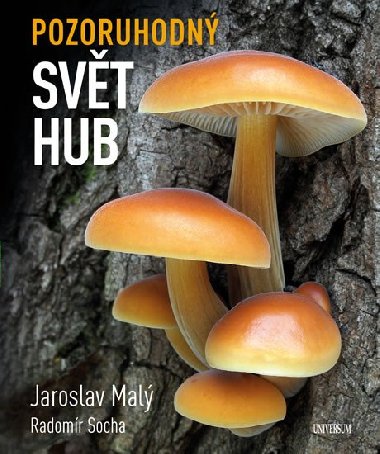 Pozoruhodn svt hub - Jaroslav Mal, Radomr Socha
