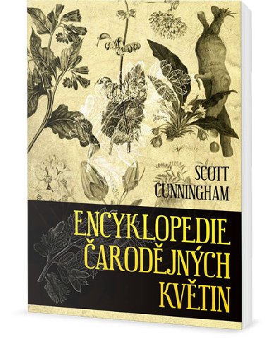 Encyklopedie magickch kvtin - Cunningham Scott