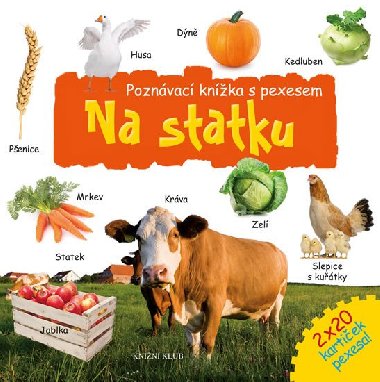 Na statku - poznvac knka s pexesem - Knin klub