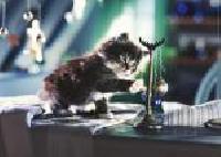Puzzle heye 500 minka - 