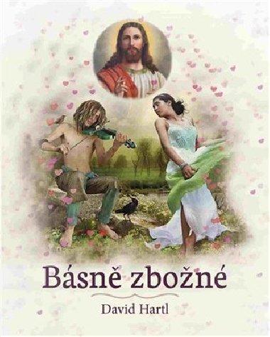 Bsn zbon - David Hartl
