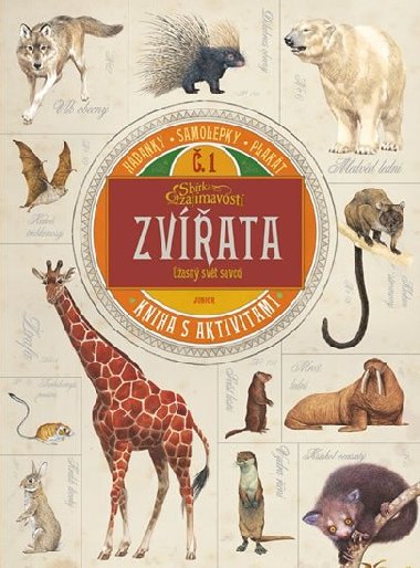 Zvata - ھasn svt savc - Junior