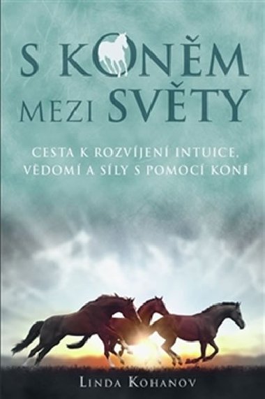 S konm mezi svty - Linda Kohanov