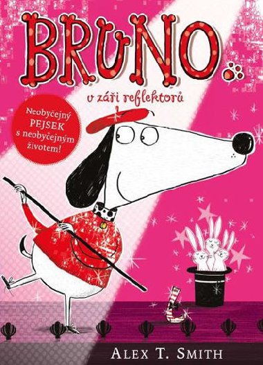 Bruno v zi reflektor - Alex T. Smith