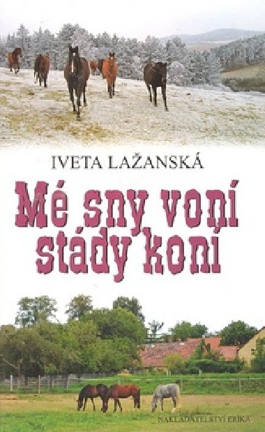 M sny von stdy kon - Iveta Laansk