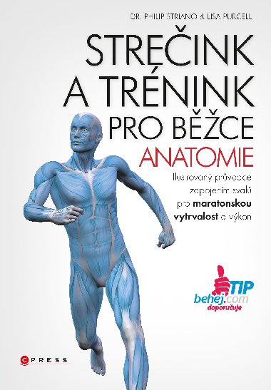 Streink a trnink pro bce - anatomie - Philip Striano; Lisa Purcell