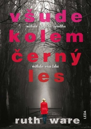 Vude kolem ern les - Ruth Wareov