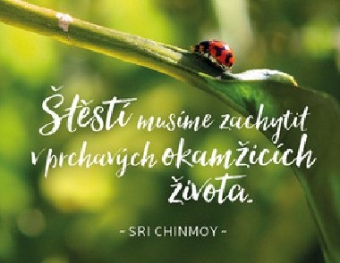 Magnet na lednici 