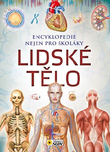 Lidsk tlo - Encyklopedie nejen pro kolky - Nakladatelstv SUN