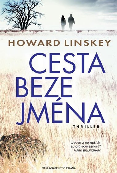 Cesta beze jmna - Linskey Howard
