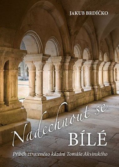Naechnout se bílé - Příběh ztraceného kázání Tomáše Akvinského - Jakub Brdíčko