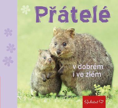 Přátelé v dobrém i ve zlém - Pragma