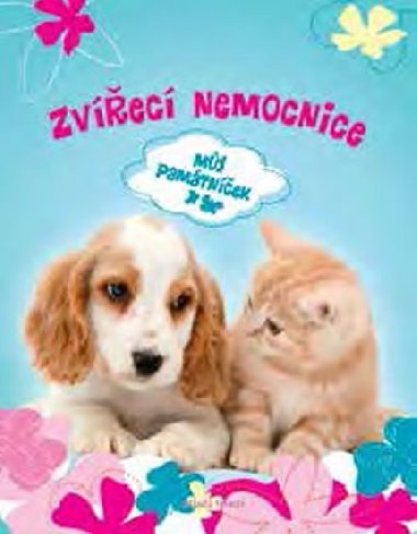 Zvec nemocnice - Mj pamtnek - Romana Jarolnov