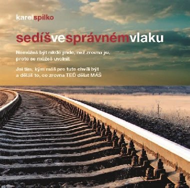 Sed ve sprvnm vlaku - Karel Spilko