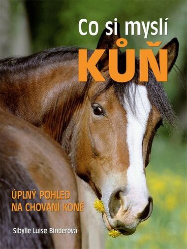 Co si mysl k - Sibylle Luise Binderov