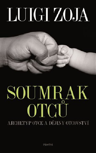 Soumrak otců - Luigi Zoja