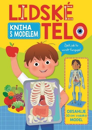 Lidsk tlo - kniha s modelem - Svojtka
