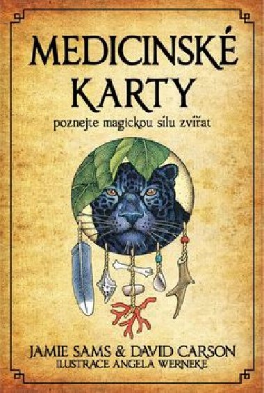 Medicinsk karty - Jamie Sams; David Carson; Angela Werneke