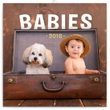 Babies - nástěnný kalendář 2018 - Věra Zlevorová