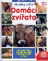 Domc zvata - 