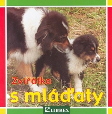 Zvtka s mlaty - 