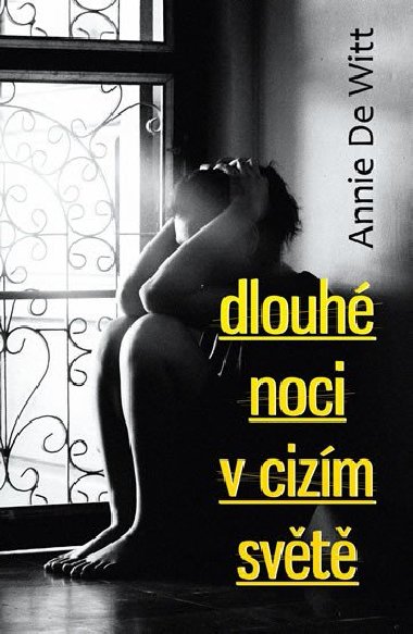 Dlouh noci v cizm svt - Annie DeWitt